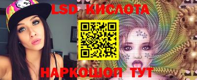 ГАЛЛЮЦИНОГЕННЫЕ ГРИБЫ Вязники