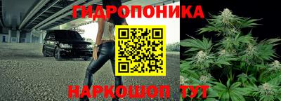 не бодяженный Вышний Волочёк