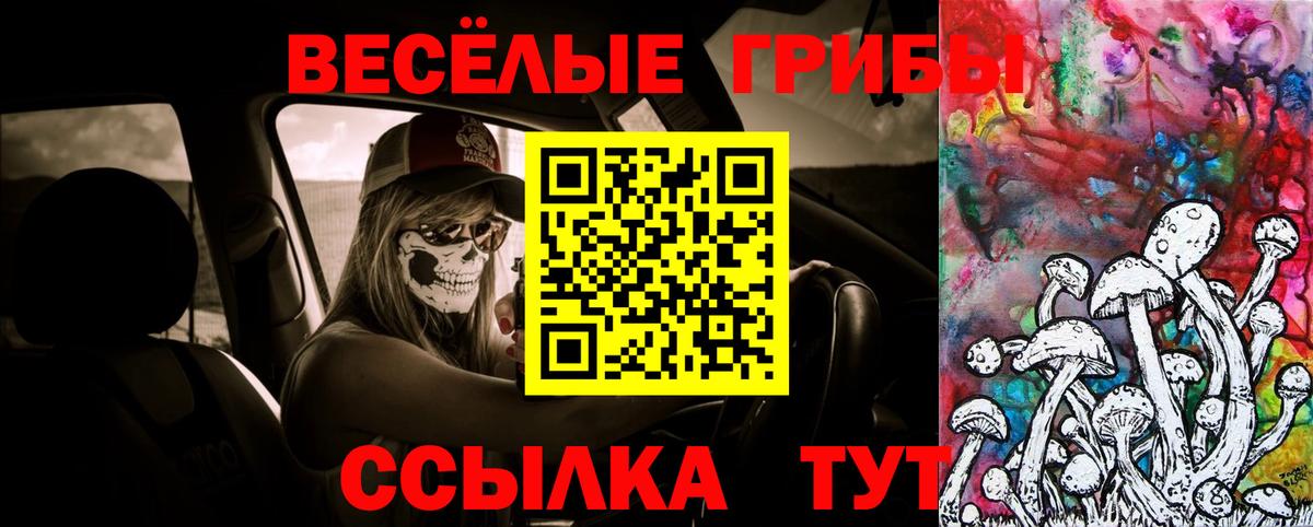 Псилоцибиновые грибы Psilocybe Моздок