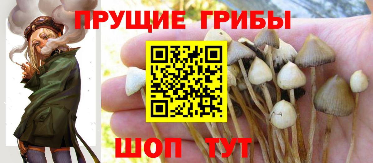 Галлюциногенные грибы мухоморы  где купить наркотик  Псилоцибиновые грибы MAGIC MUSHROOMS  Моздок  Вход с VPN 
